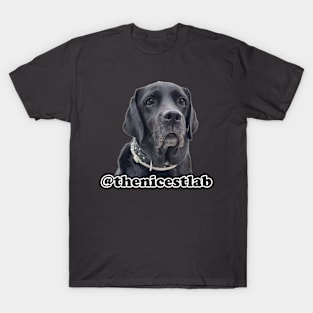 the nicest lab T-Shirt